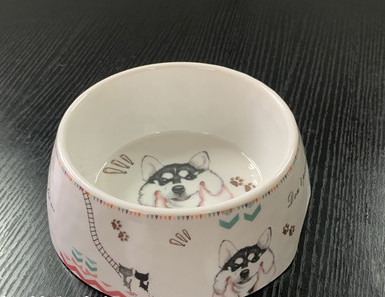 Μπολ φαγητού ή νερού - πολλά μοντέλα