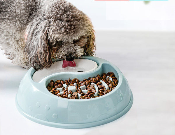 Bol rotund din plastic pentru animale de companie în trei modele