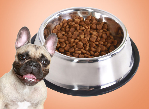 Bol rotund pentru hrana pentru caini din otel inoxidabil