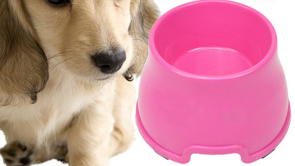 Okrugla plastična posuda za hranu za pse