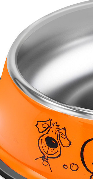 Roostevabast terasest koerakauss kirjaga