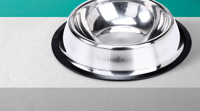 Roostevabast terasest koerakauss kirjaga