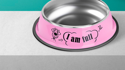 Roostevabast terasest koerakauss kirjaga