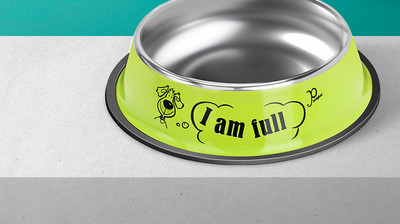 Roostevabast terasest koerakauss kirjaga