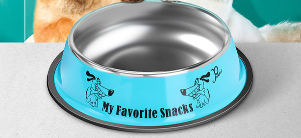 Roostevabast terasest koerakauss kirjaga