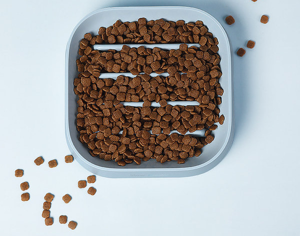 Bol pătrat pentru câini în formă de trifoi cu patru foi