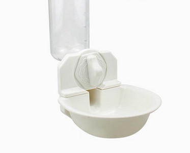 Automaatne koera veeautomaat