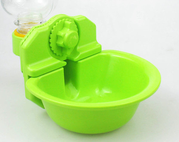 Automaatne koera veeautomaat