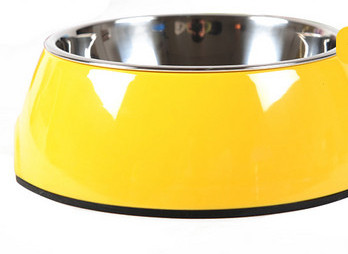 Roostevabast terasest värviline kauss koertele