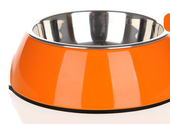 Roostevabast terasest värviline kauss koertele