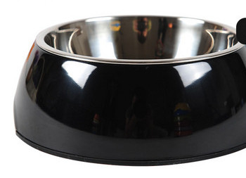 Roostevabast terasest värviline kauss koertele