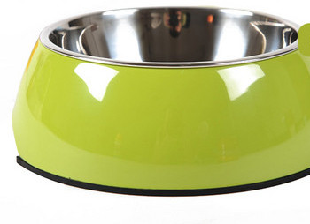 Roostevabast terasest värviline kauss koertele