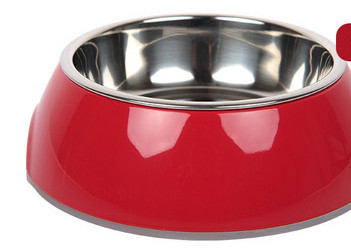 Roostevabast terasest värviline kauss koertele