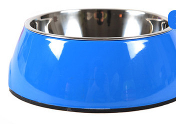 Roostevabast terasest värviline kauss koertele