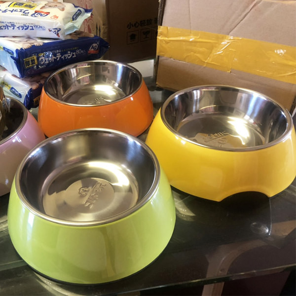 Roostevabast terasest värviline kauss koertele