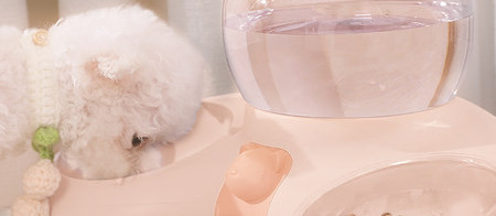 Automaatne söödakauss lemmikloomadele