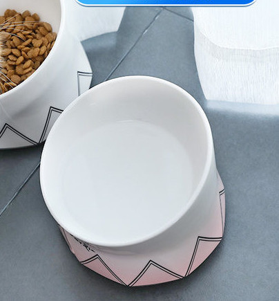 Kõrge kõrge keraamiline kauss koeratoidu jaoks