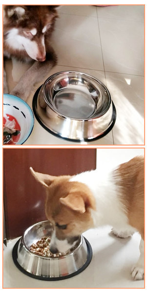 Roostevabast terasest kauss koeratoidu jaoks