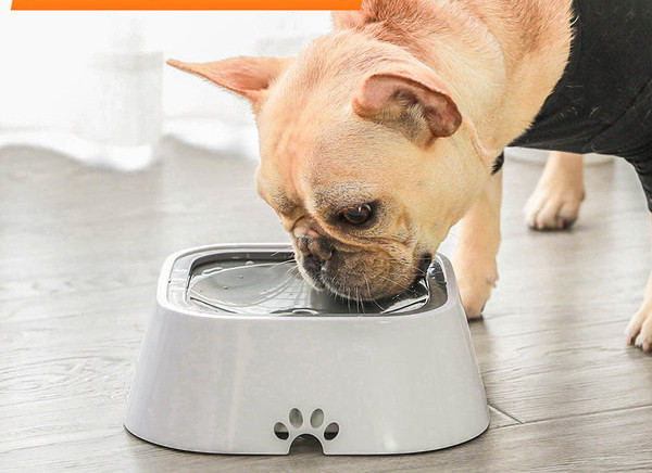 Bol pentru mâncare sau apă - două modele