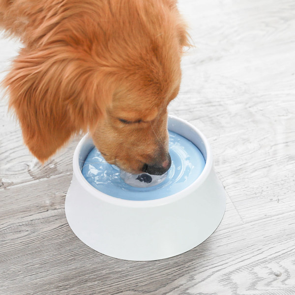 Bol pentru mâncare sau apă - două modele