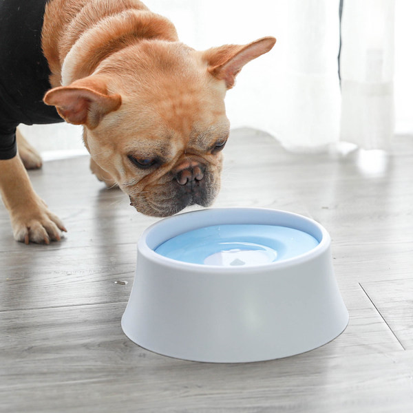 Bol pentru mâncare sau apă - două modele