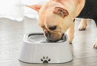 Bol de plastic pentru caini in forma rotunda si patrata