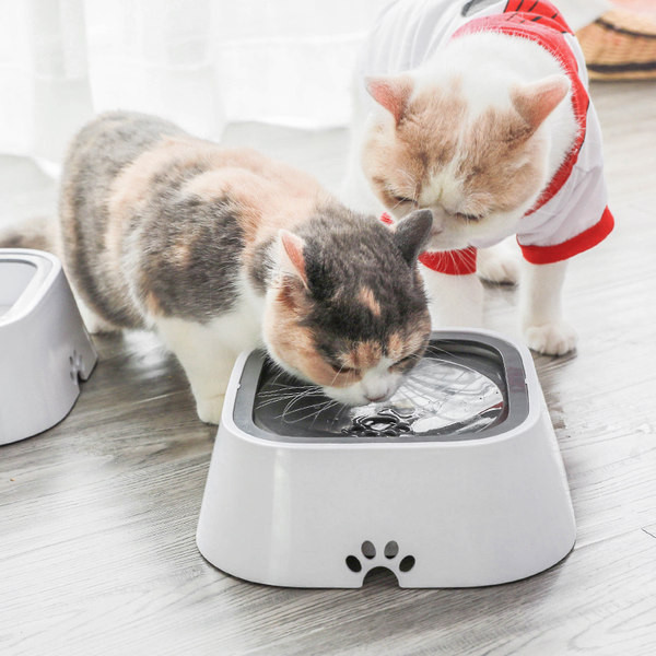 Bol de plastic pentru caini in forma rotunda si patrata