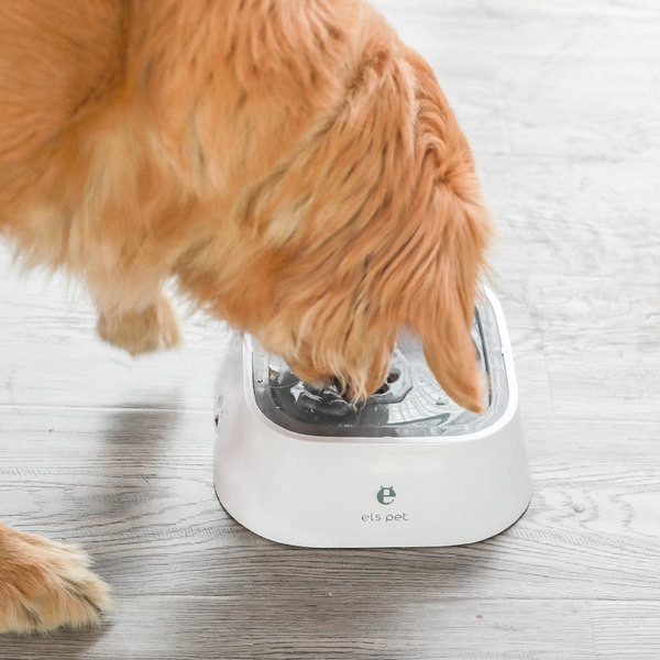 Bol de plastic pentru caini in forma rotunda si patrata