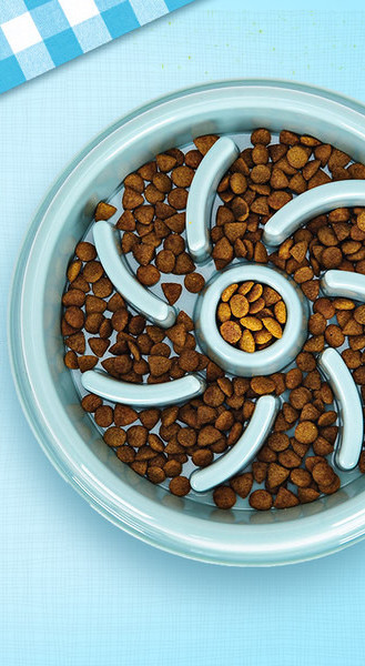 Bol rotund din plastic pentru hrana pentru caini