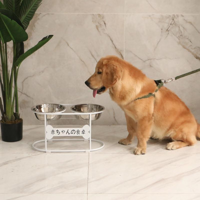 Bļoda ar ēdienu un ūdeni ar statīvu suņiem