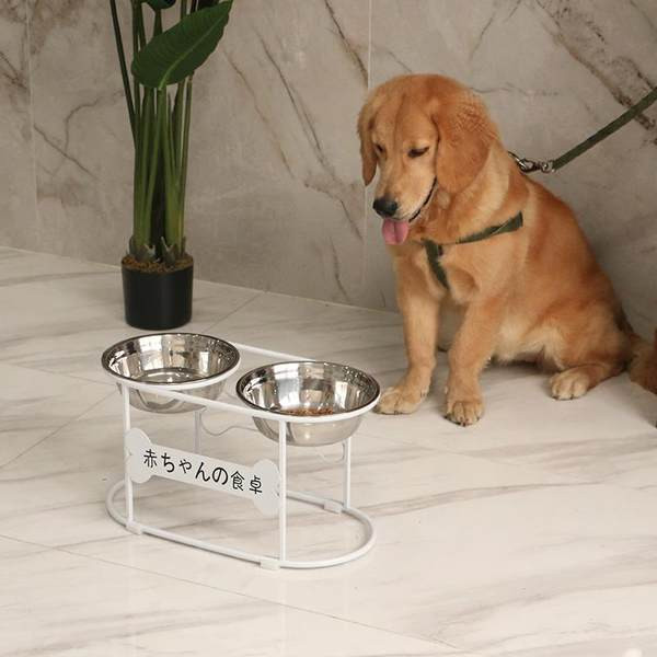 Bļoda ar ēdienu un ūdeni ar statīvu suņiem