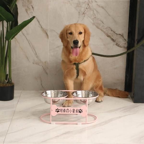 Bļoda ar ēdienu un ūdeni ar statīvu suņiem