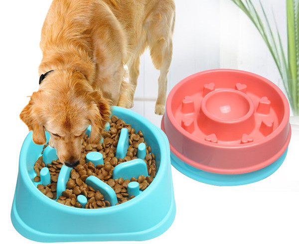 Plastikust toidukauss - koertele