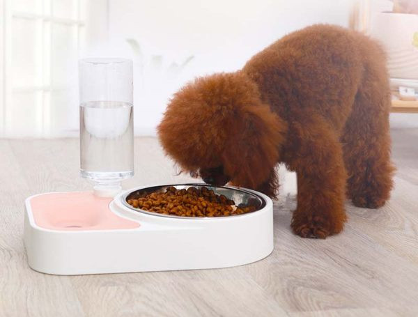 Купичка за кучета от неръждаема стомана с диспенсър за вода