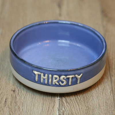 Bol din ceramică pentru câini cu inscripție