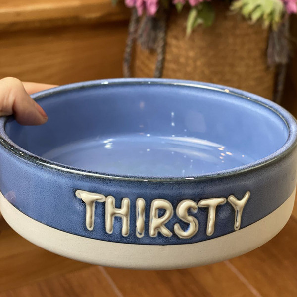 Bol din ceramică pentru câini cu inscripție