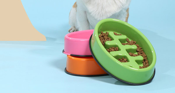 Bol pătrat din plastic pentru câini