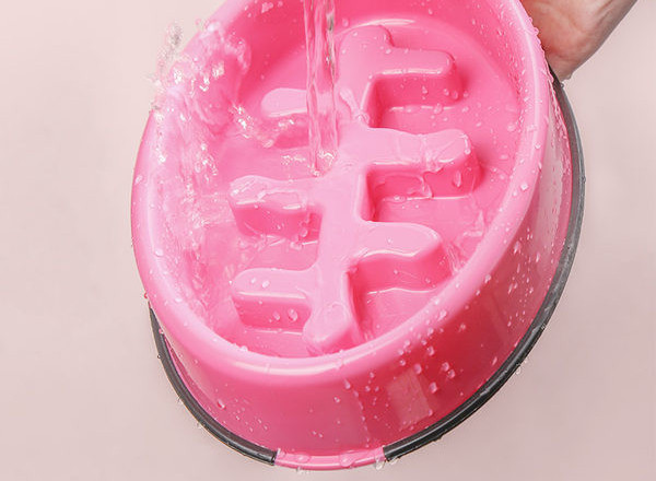 Bol pătrat din plastic pentru câini