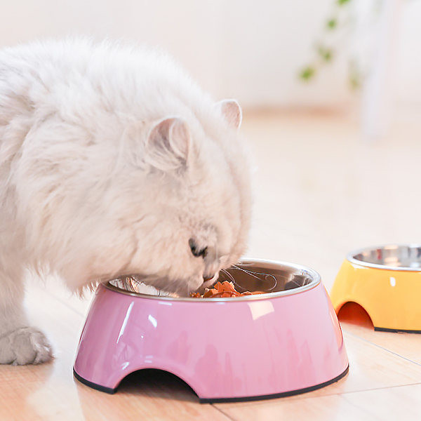 Μπολ φαγητού - ανοξείδωτο