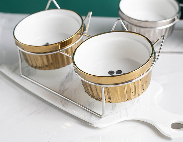 Roostevabast terasest alusega keraamiline kauss koertele