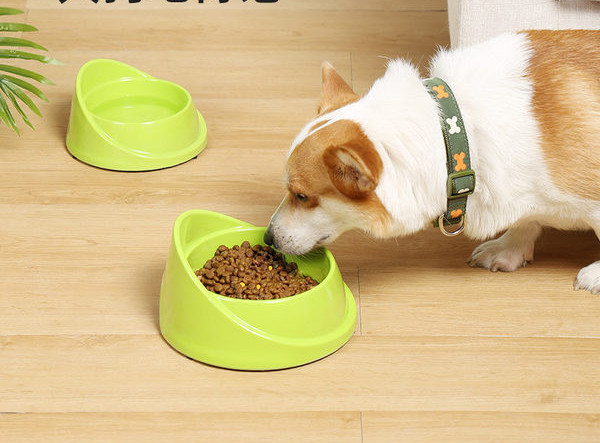 Bol rotund din plastic cu bază anti-alunecare