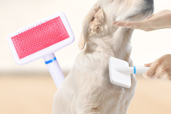 Kamm koerte kammimiseks - kaks mudelit