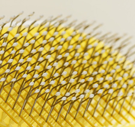 Kamm koertele - kaks mudelit