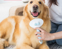 Pintsel surnud juuste puhastamiseks