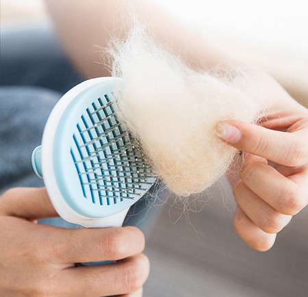 Pintsel surnud juuste puhastamiseks