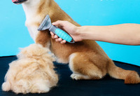 Kammi trimmer surnud juuste eemaldamiseks