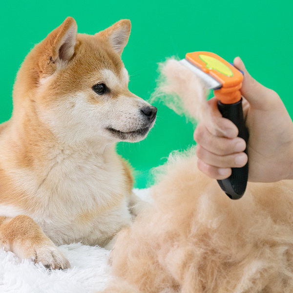 Kammi trimmer surnud juuste eemaldamiseks