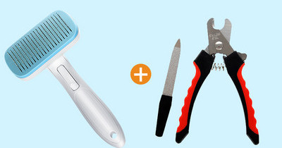 Pintsel koerte kammimiseks, mille funktsioon on lihtne eemaldada liigne karv