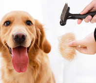 Βούρτσα περιποίησης σκύλων - πολλά μοντέλα