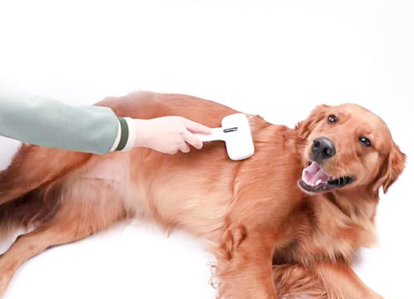 Plastična četka za čišćenje pseće dlake